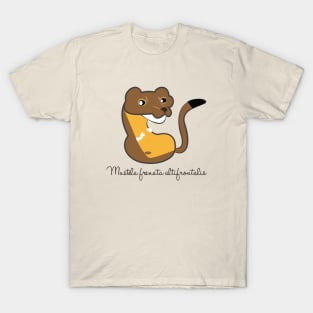 Long tailed weasel 1 T-Shirt